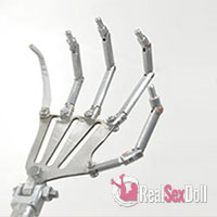 Finger Skeleton